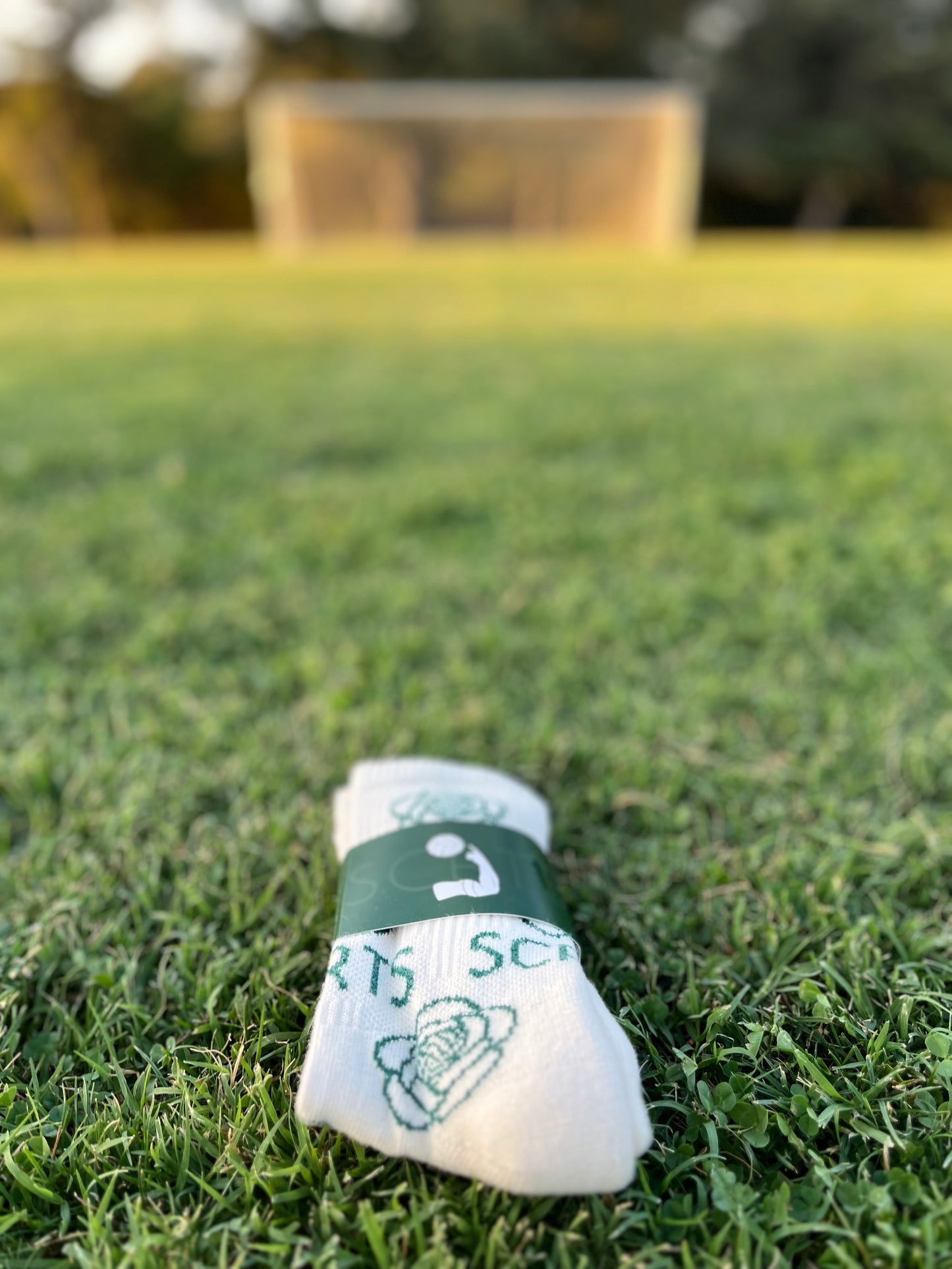 SCRTS Marble Pitch to Pavement Sock