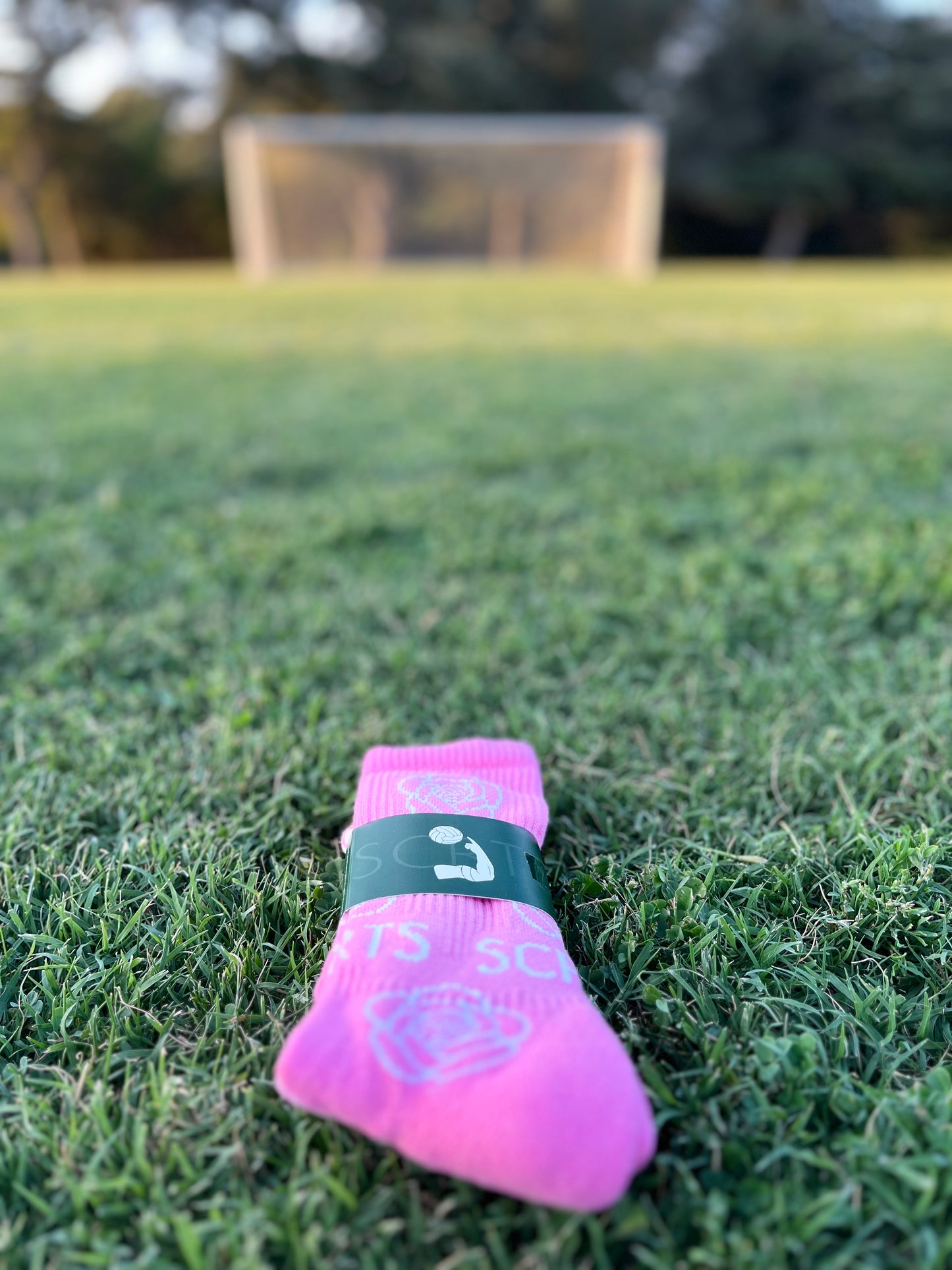 CAM Pink Pitch to Pavement Sock